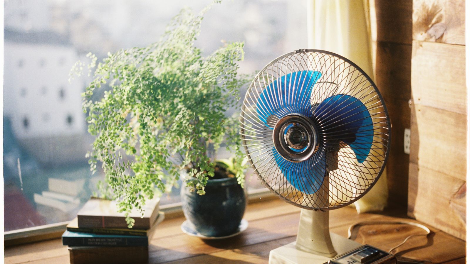 A sunlit room with a vintage fan, plant, and books on a wooden table.