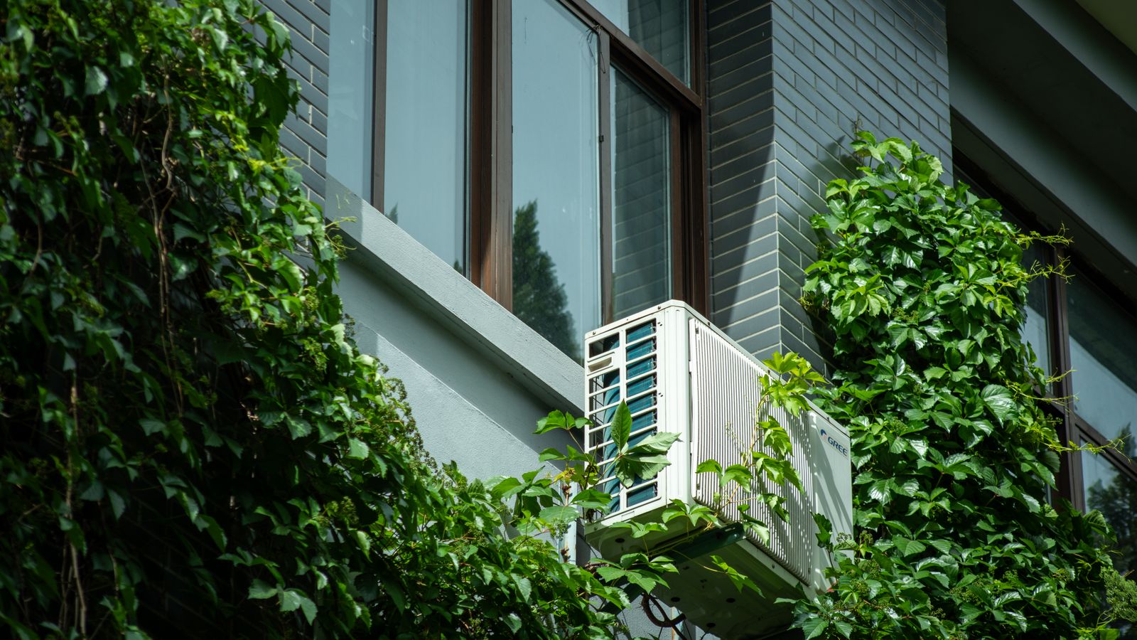 Air conditioner unit on an ivy-covered building wall, blending nature and technology.